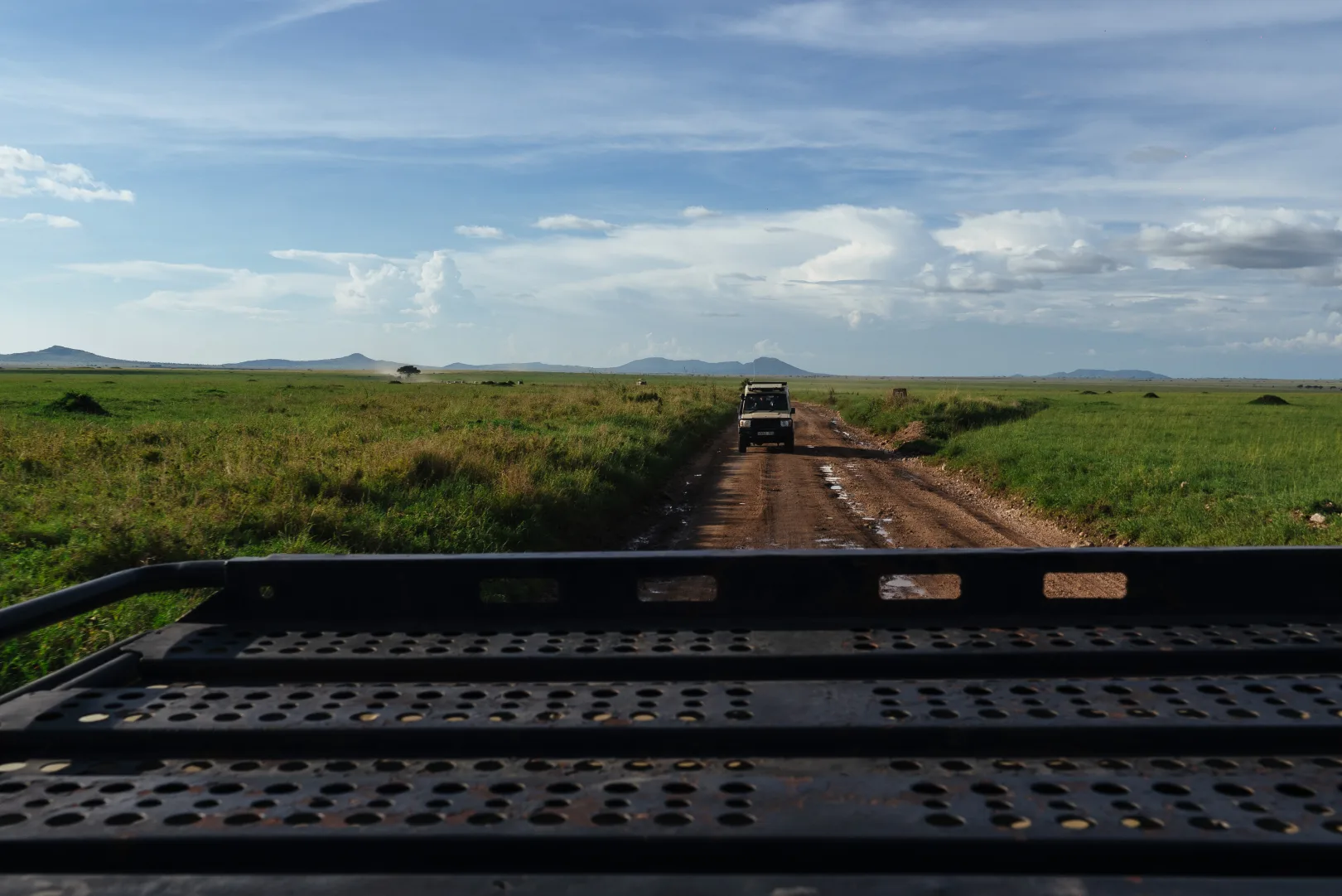 Senior private safari guide reading animal tracks in the Serengeti grassland