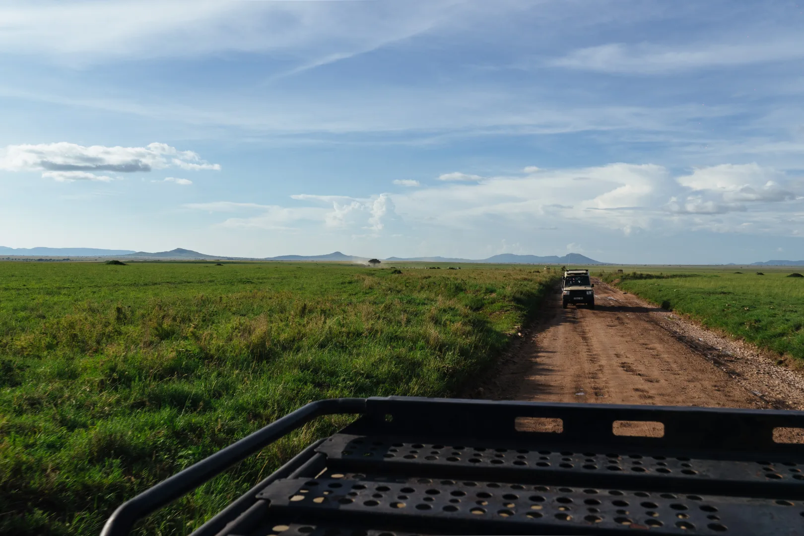 A day on safari in Tanzania