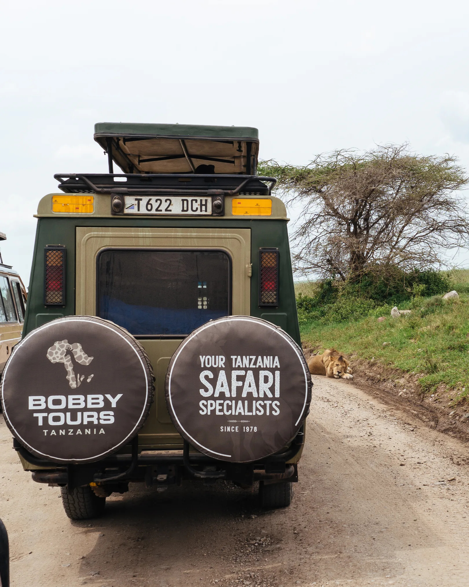 Bobby Safaris vs mass-market operators — the real difference