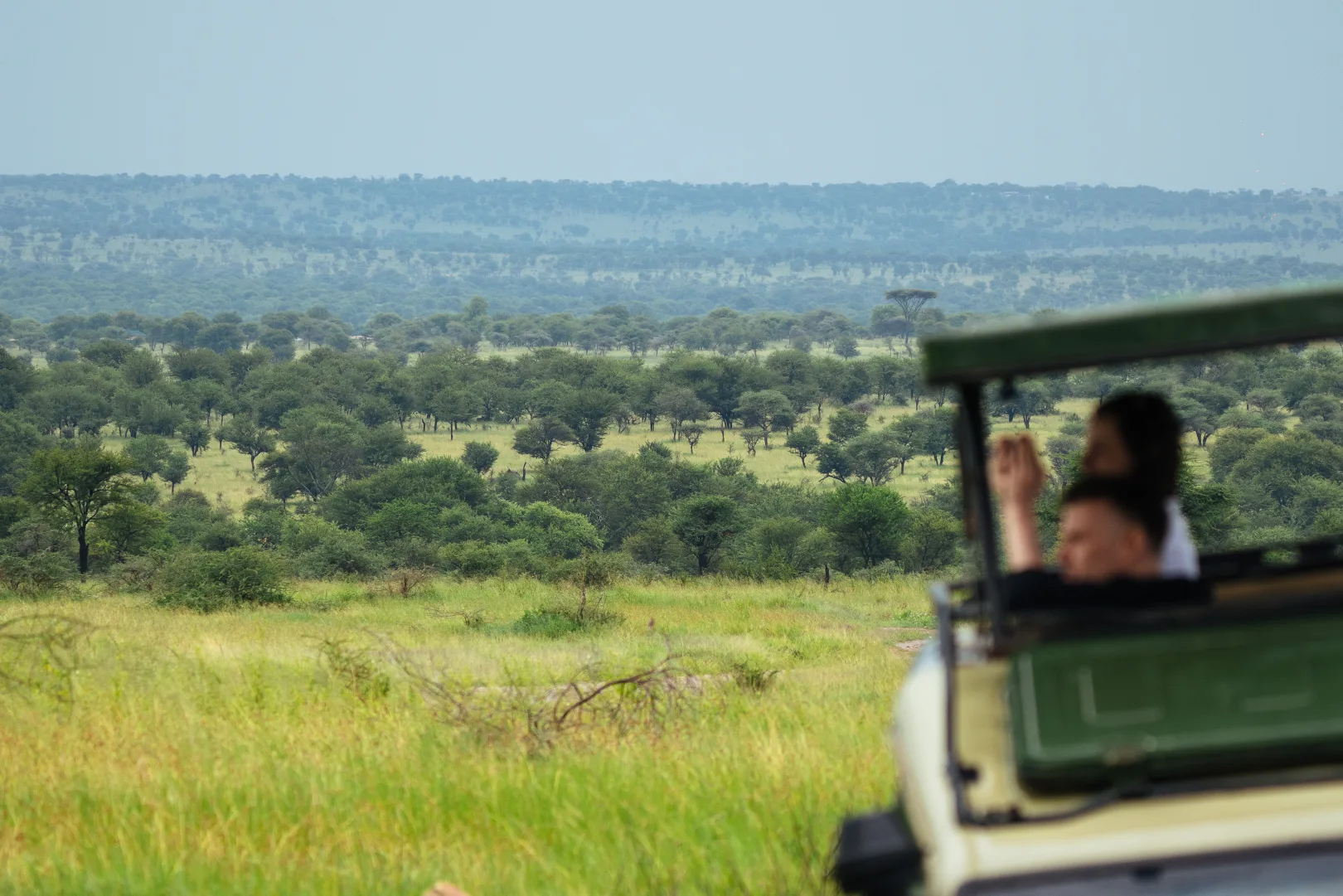 The Serengeti — Tanzania's flagship wilderness
