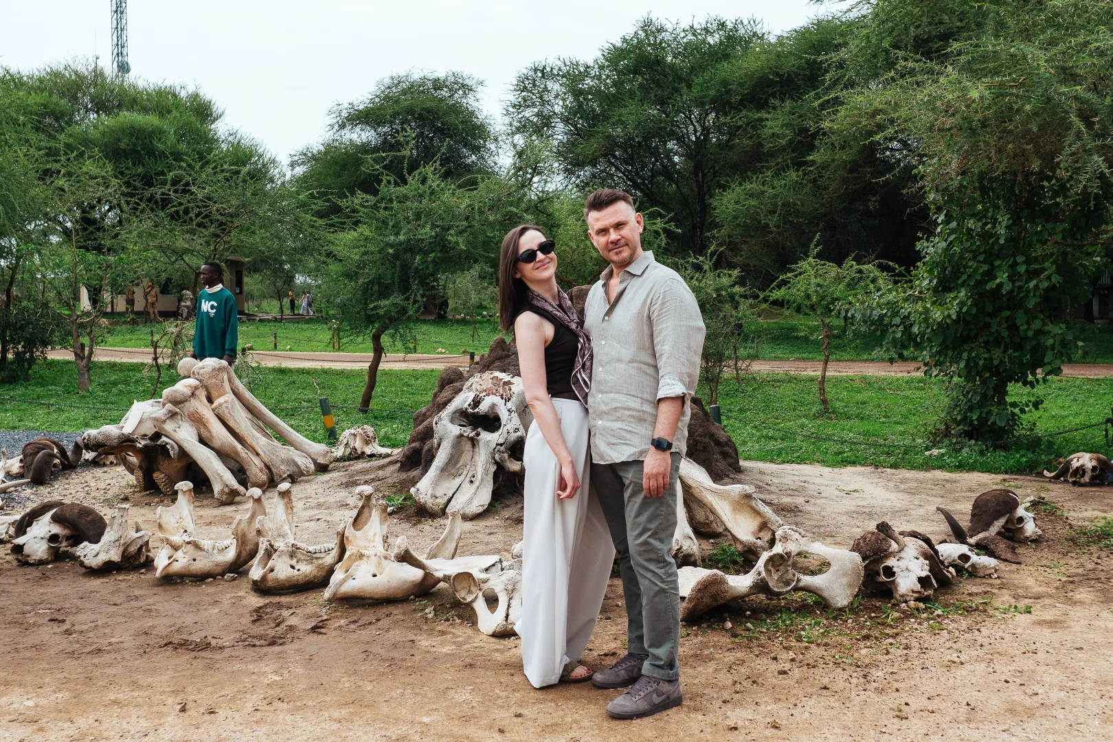 Elephants in Tanzania's Tarangire National Park — part of the northern circuit diversity